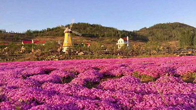 “特色小鎮(zhèn)”和“田園綜合體”之間有關(guān)系嗎？有融合發(fā)展的可能嗎？