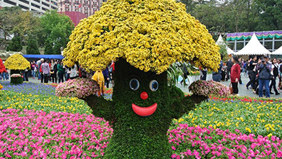 園林綠化設(shè)計中花卉植物造景需注意的幾點(diǎn)