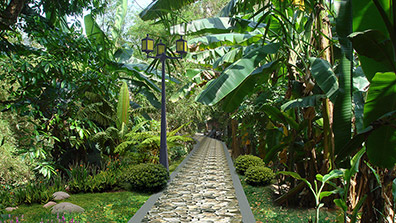 風景園林設計需要以生態(tài)理念為指導