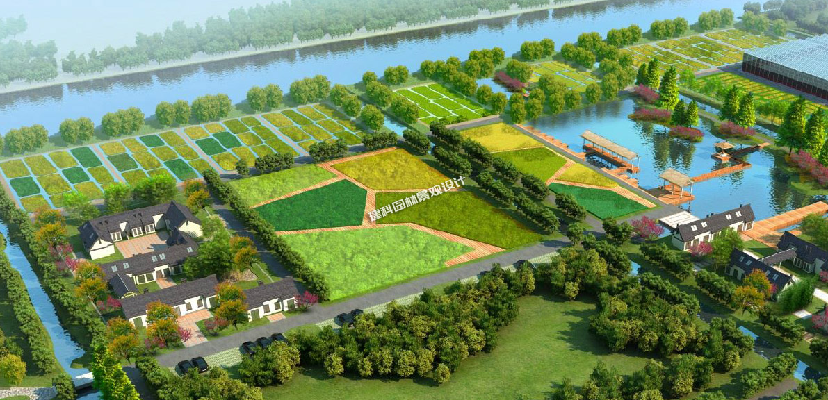 濕地保護與濕地公園建設措施