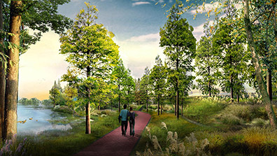 濕地公園價(jià)值及保護(hù)意義分析